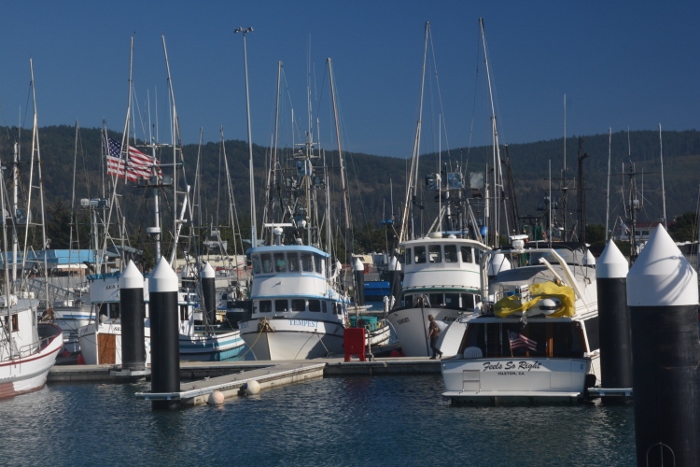 harbor 